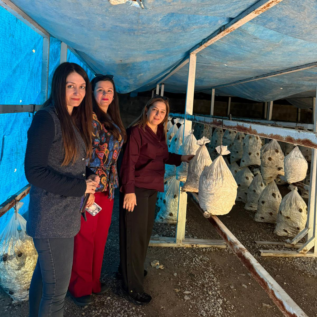 Bitkisel ve Hayvansal Üretim Bölümünden Teknik Gezi